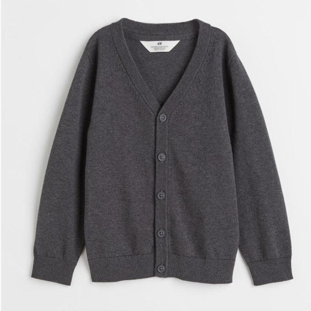 H&M Toddler Boys Button Down Sweater